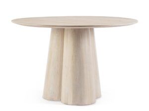 Mesa Nass 2